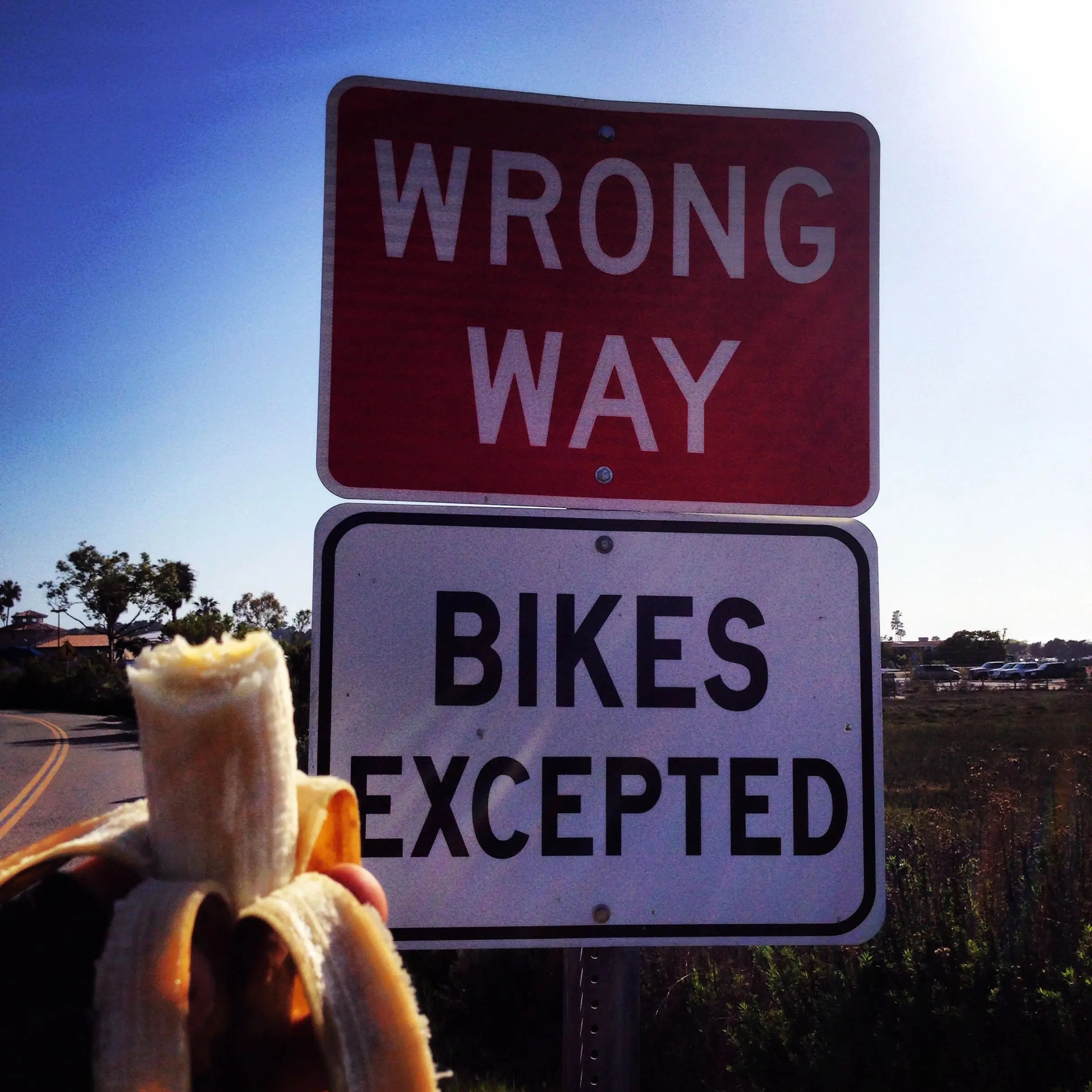 That's Bananas! - Dialed Cycling Lab