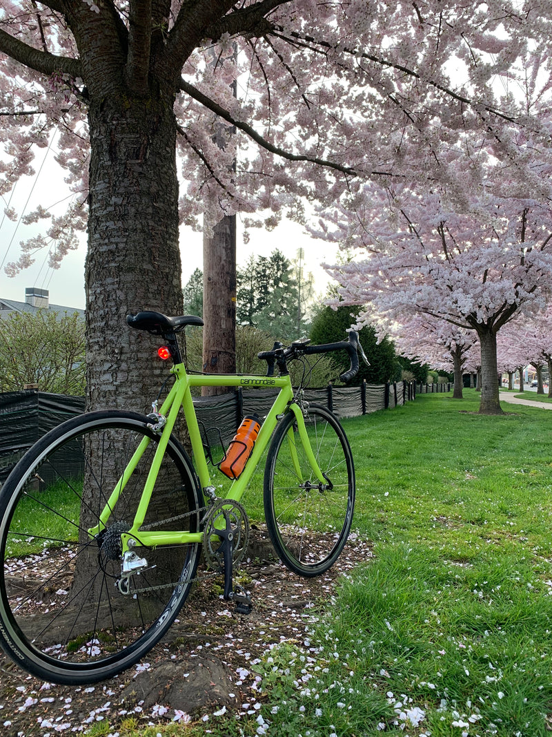 Cannondale SR500