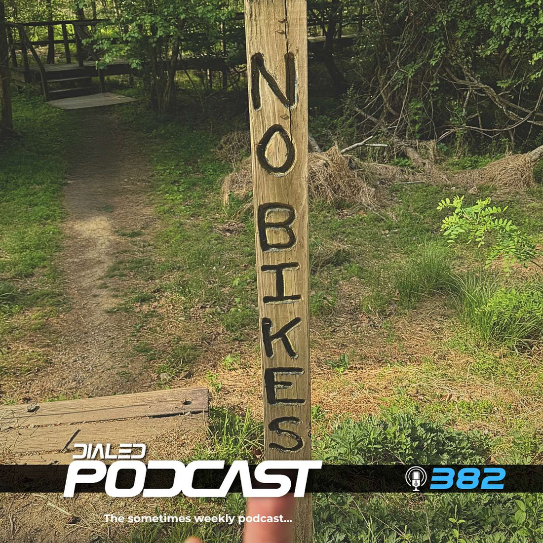 A Root Canal From Hell, Paris-Roubaix Predictions, and AI Comes for Ian's Job | Dialed Podcast 382
