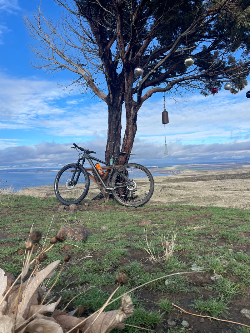 Specialized Carve