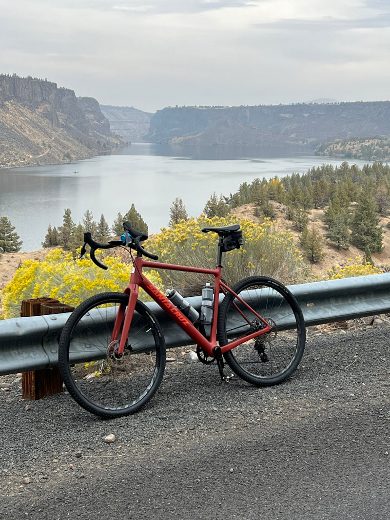 Santa Cruz Stigmata
