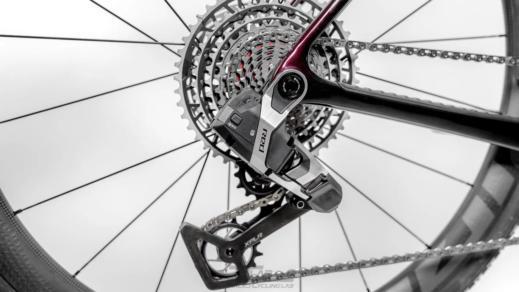 ENVE Mog - Hollyhock Purple | 58cm | Custom