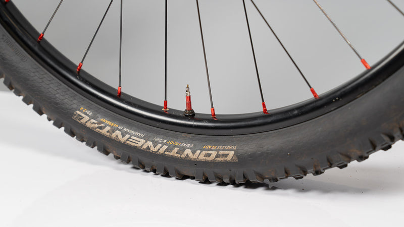 Heller Barghest (Medium) - $1950