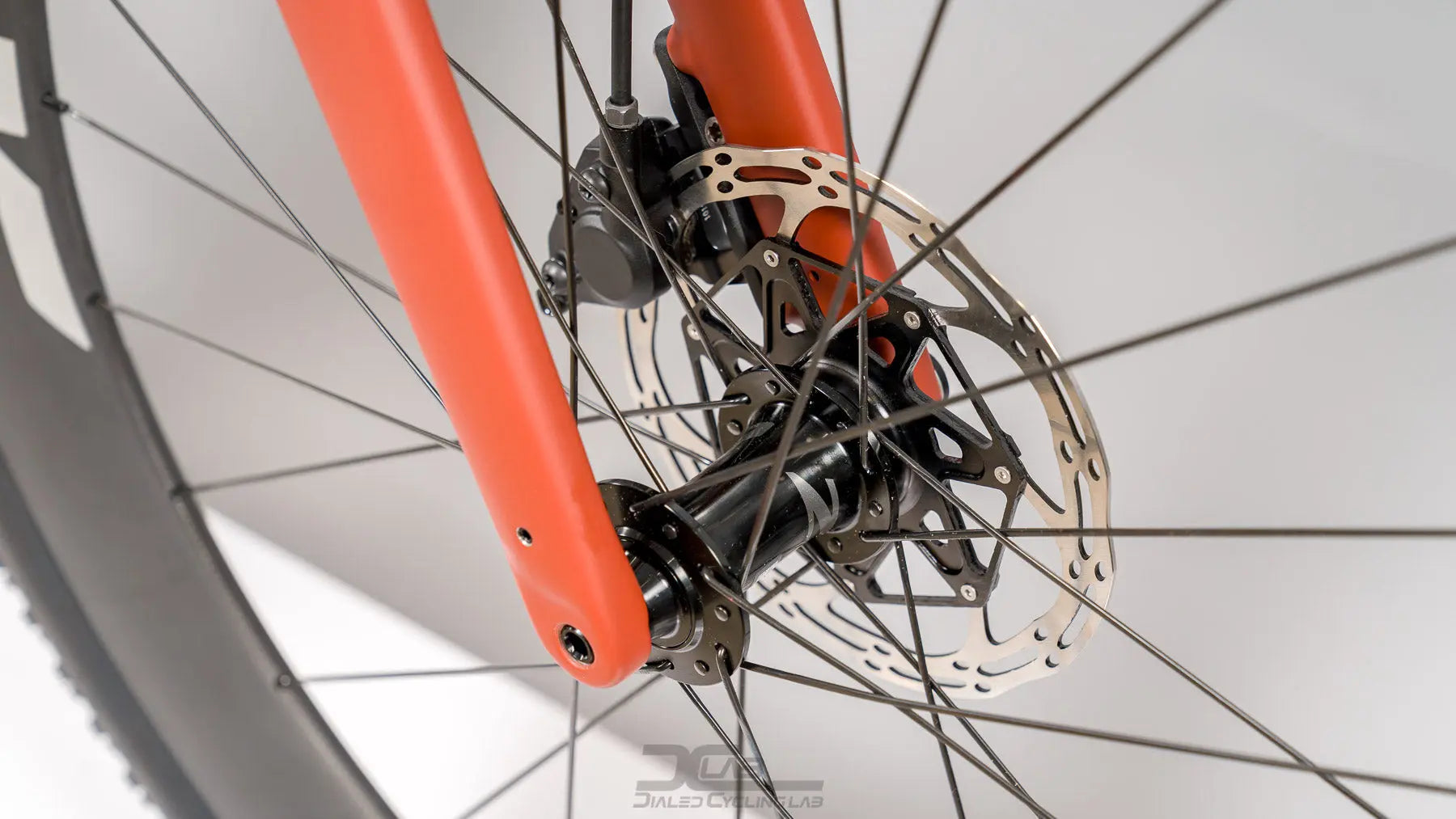 Santa Cruz Stigmata CC - Small | Custom Santa Cruz