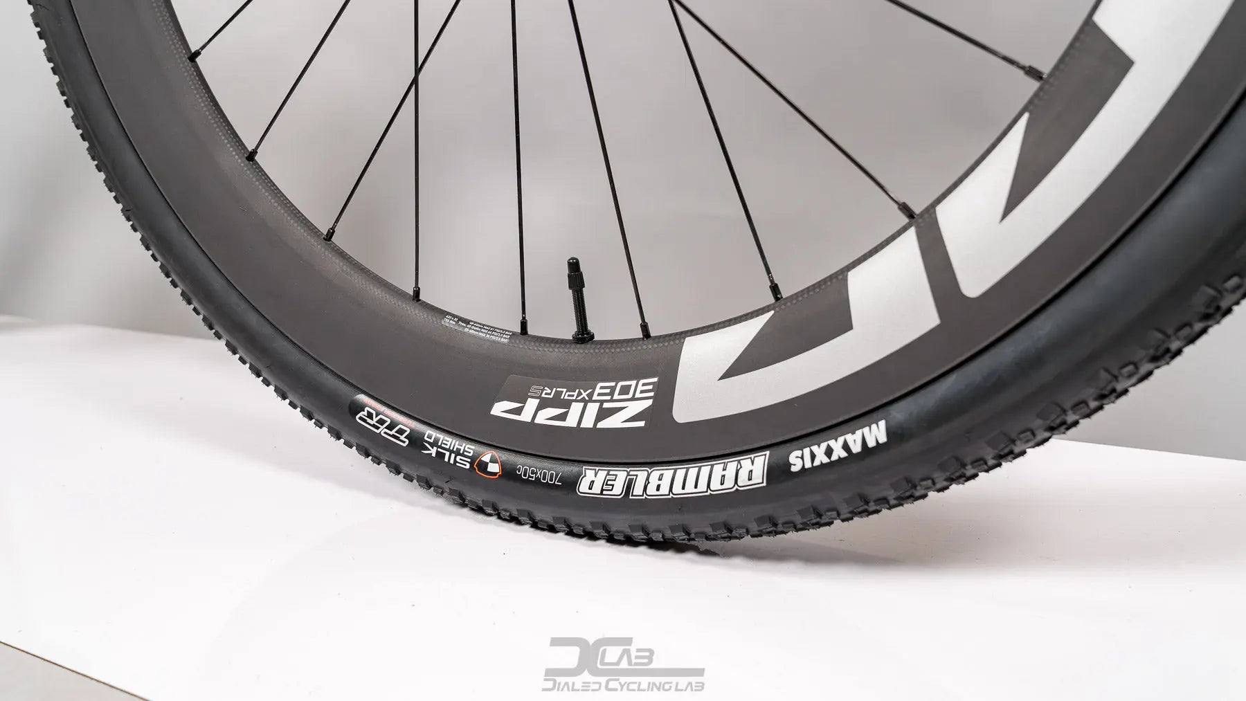 Santa Cruz Stigmata CC - Small | Custom Santa Cruz