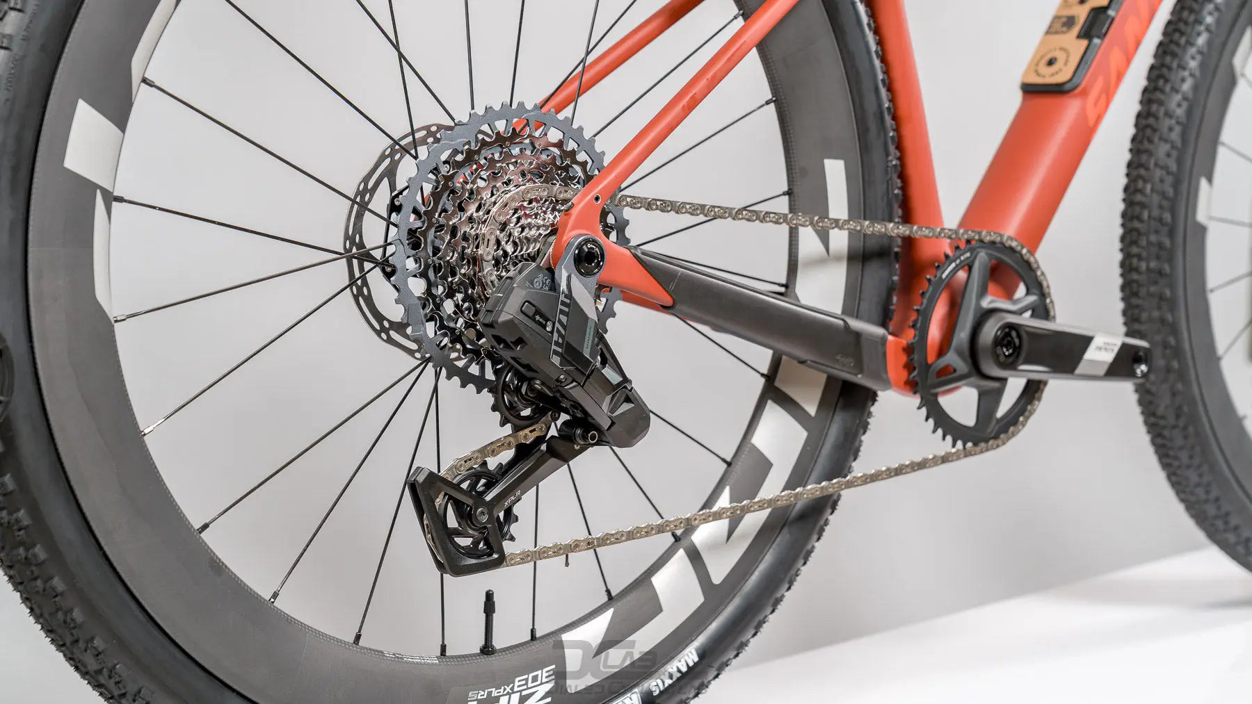 Santa Cruz Stigmata CC - Small | Custom Santa Cruz