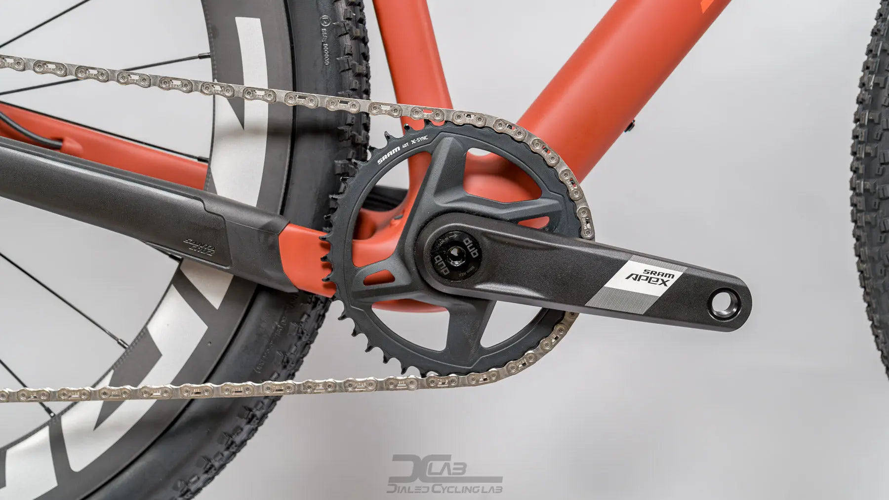 Santa Cruz Stigmata CC - Small | Custom Santa Cruz