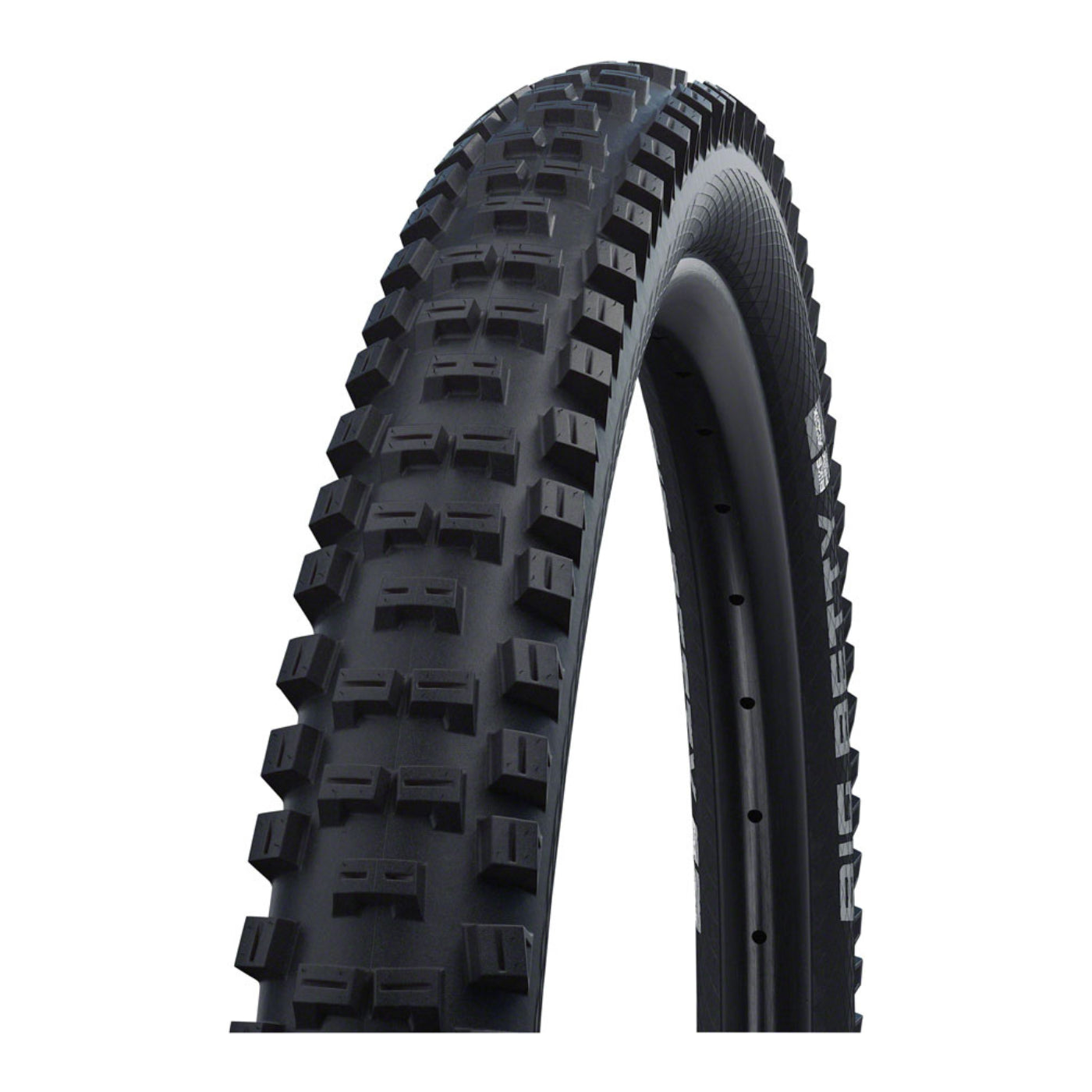 Schwalbe Big Betty Tire - 26 x 2.4 | Wire