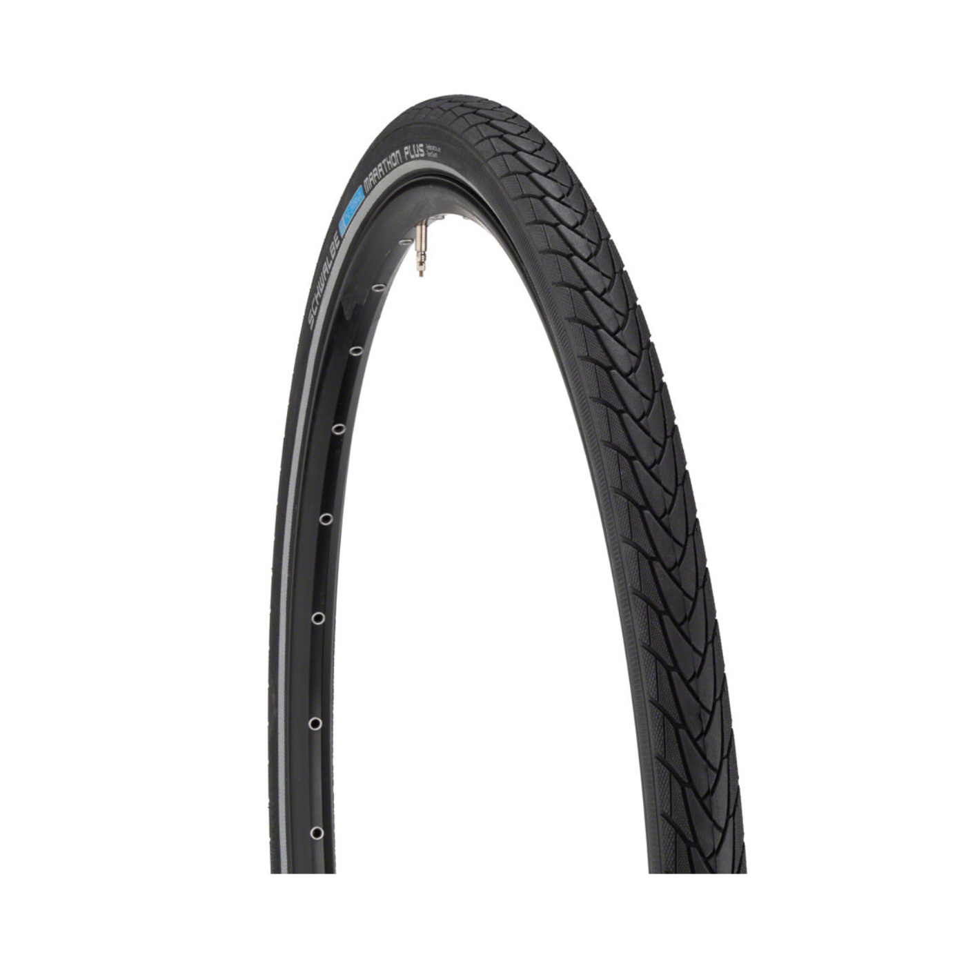 Schwalbe Marathon Tire - 700 x 35 | Wire