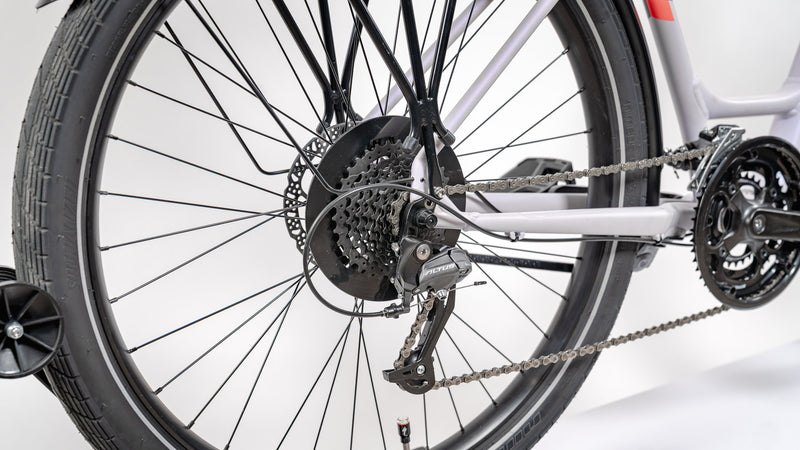 Specialized Roll Elite Low Entry (Large) - $595