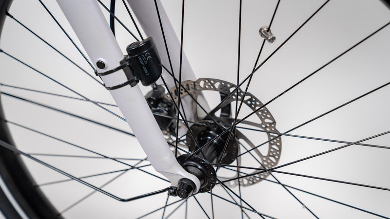 Specialized Roll Elite Low Entry (Large) - $595