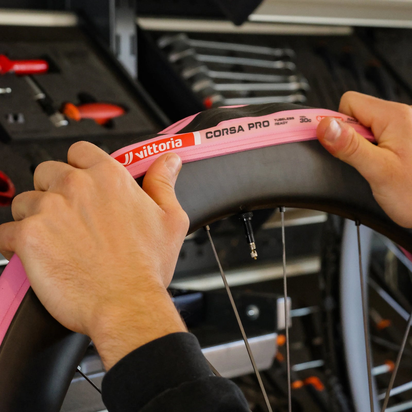 Vittoria brand story