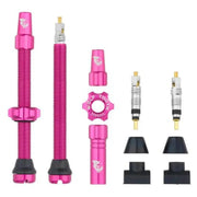 Wolf Tooth Tubeless Valve Stem Kit - 60mm | Pink