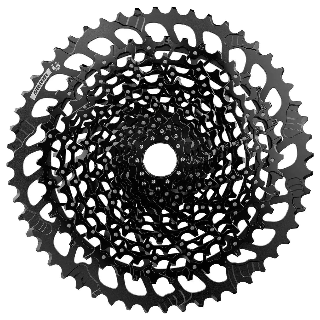 SRAM XG-1275 Eagle 12 speed cassette, drive side